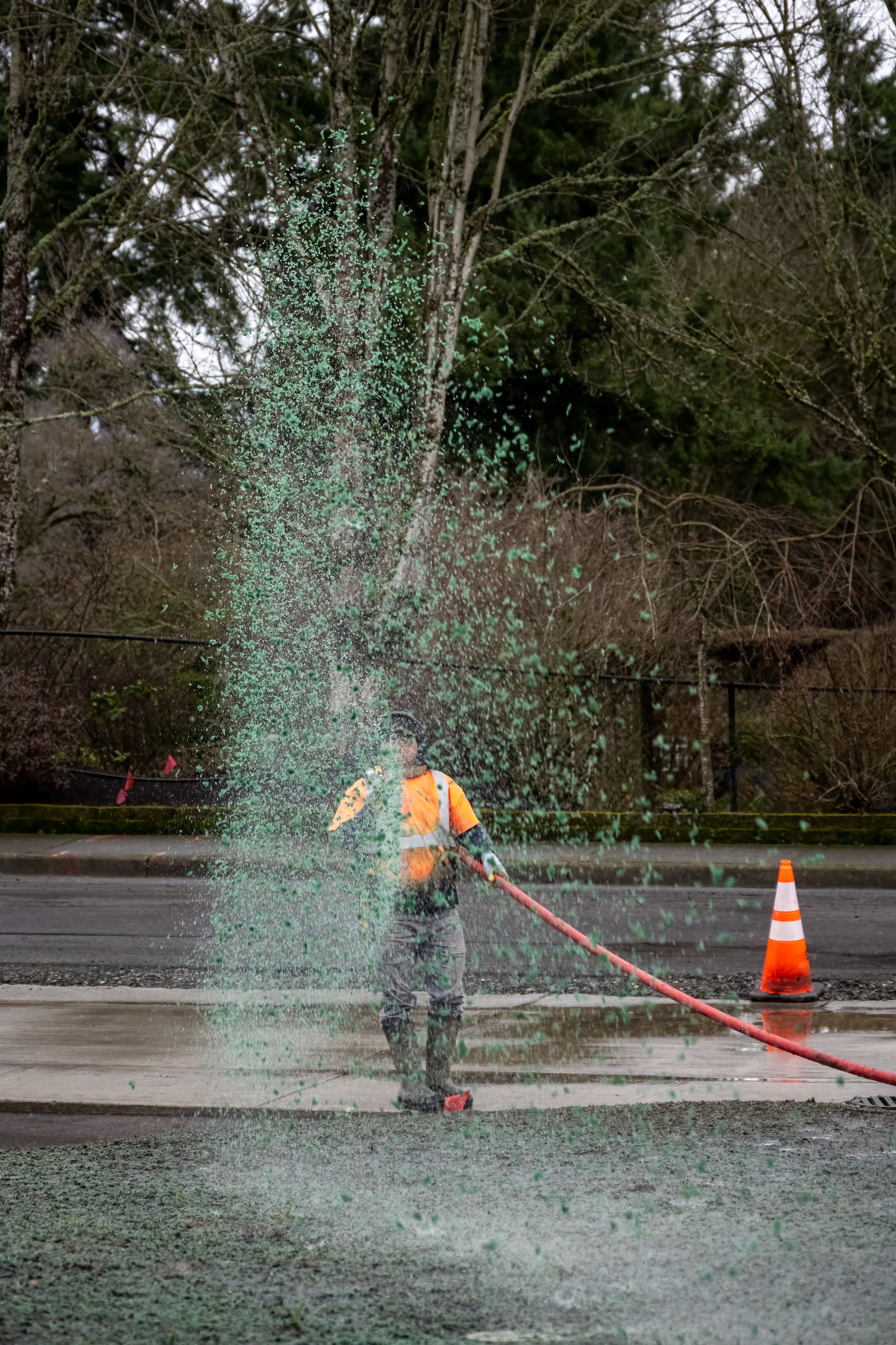 Hydroseeding image