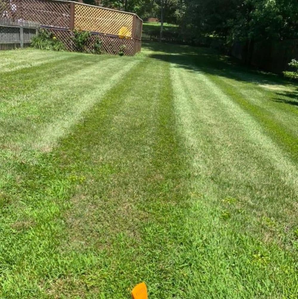 Lush green lawn with neatly striped grass patterns and a wooden fence in the background.