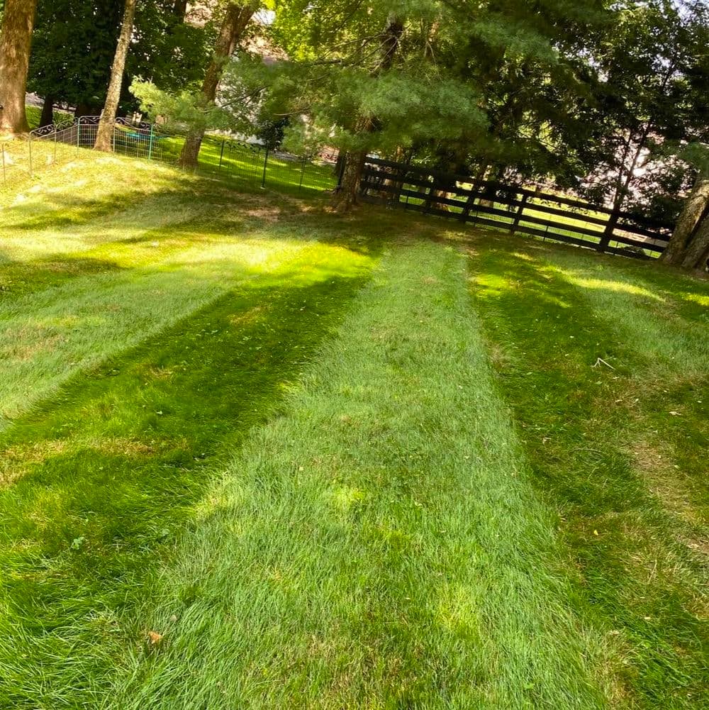 Lawn with freshly mowed stripes, sunlight filtering through trees, peaceful outdoor setting.