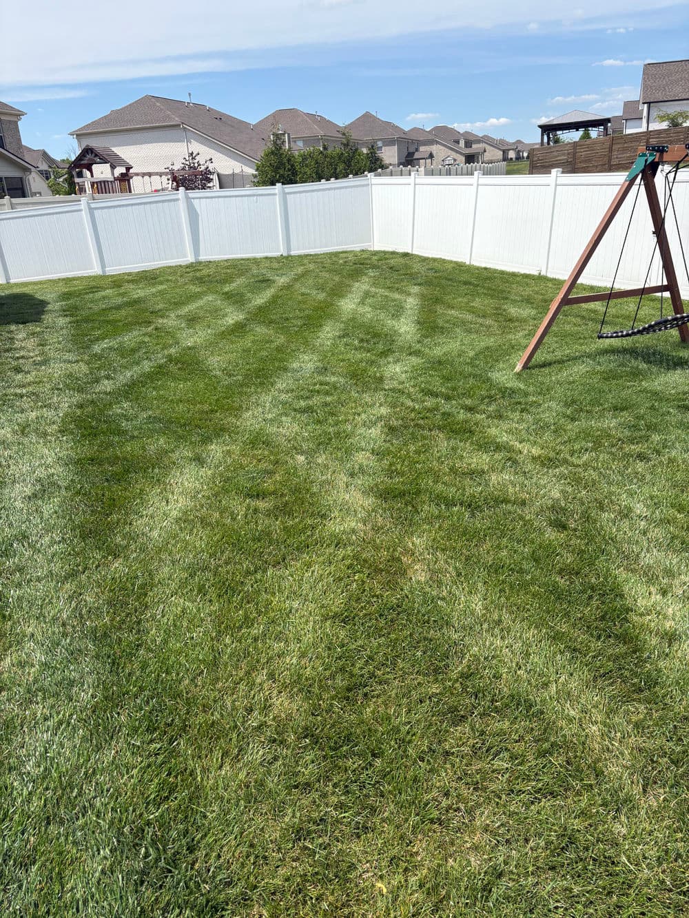 Lush green lawn with neatly striped patterns and white fence in a suburban backyard.