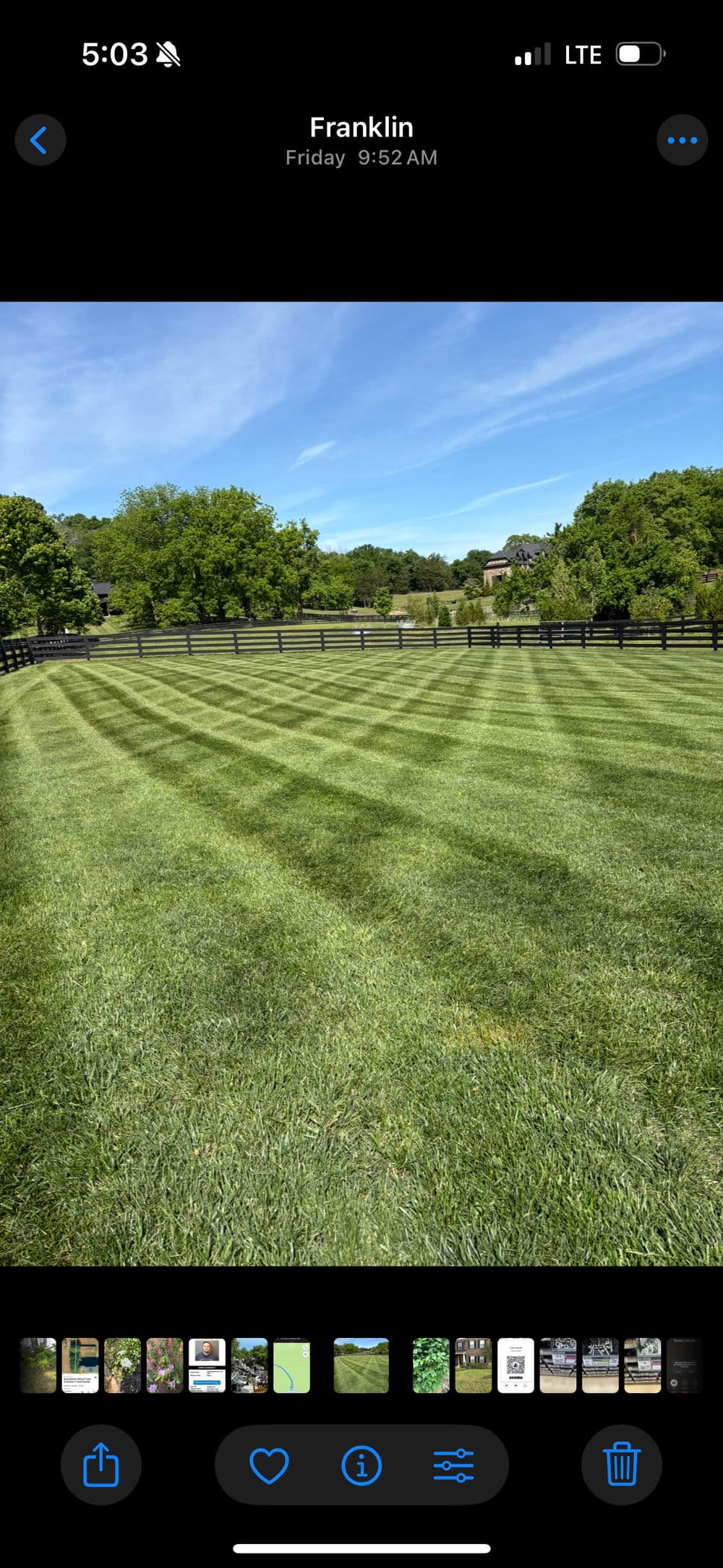 Lawn Maintenance image